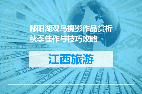 鄱阳湖观鸟摄影作品赏析秋季佳作与技巧攻略