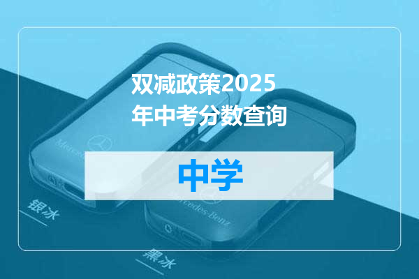 双减政策2025年中考分数查询