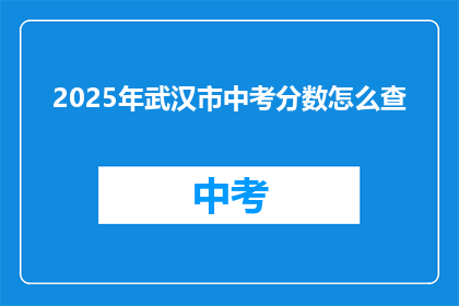 2025年武汉市中考分数怎么查